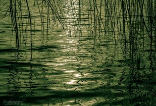 Garrensee.jpg